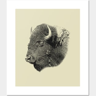 European bison Posters and Art